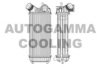 AUTOGAMMA 105911 Intercooler, charger